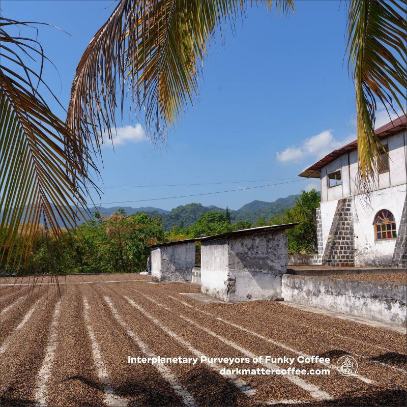 slide 2 of 6, Dark Matter Coffee A Love Supreme House Blend Whole Bean Coffee - 12oz, 12 oz