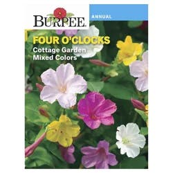 Burpee Four O'Clocks Cottage Garden Mix Seeds - Multi-Color