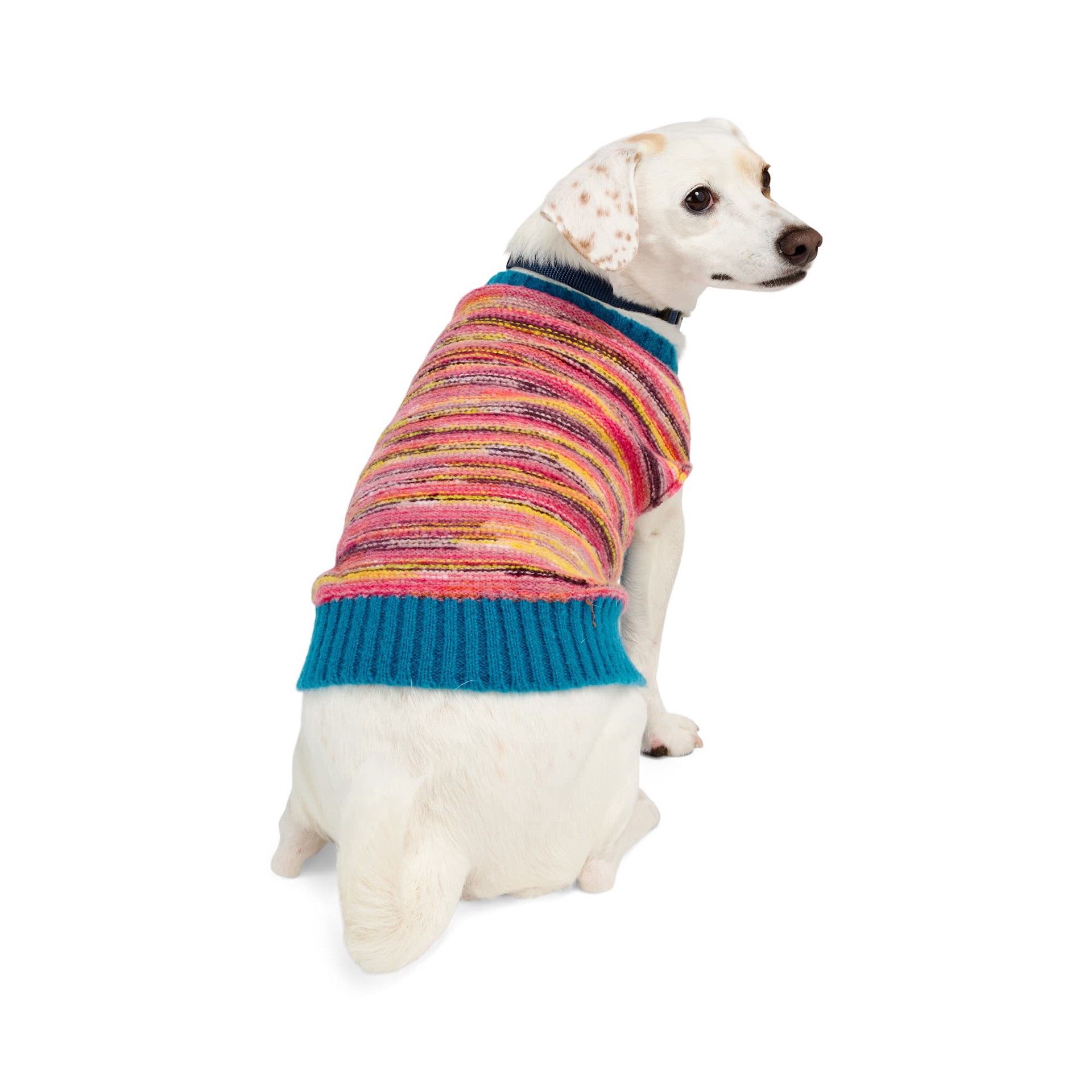 slide 1 of 1, YOULY Multicolor Striped Pet Sweater, X-Small, x-small