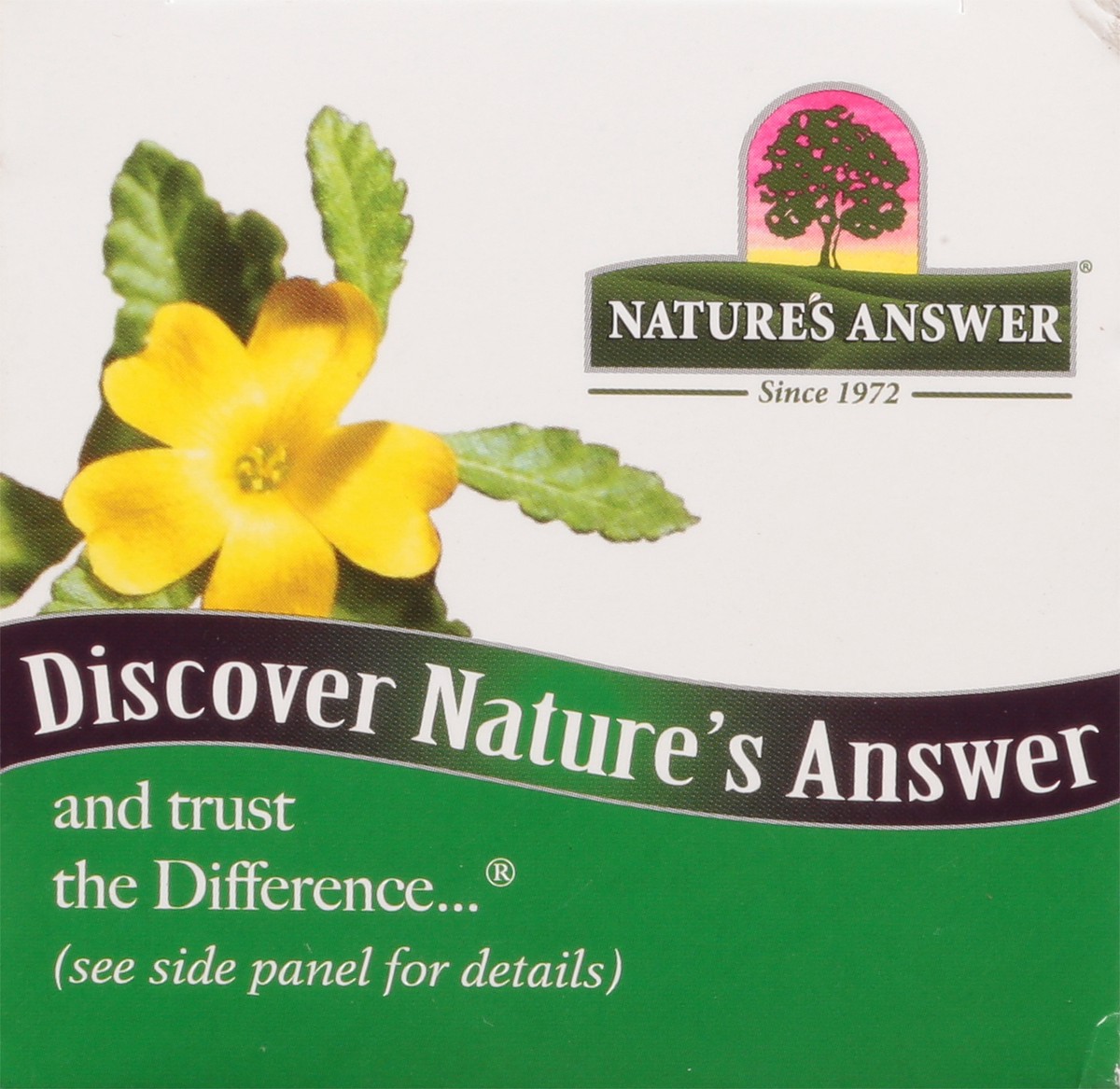 slide 4 of 9, Nature's Answer Damiana, 90 ct