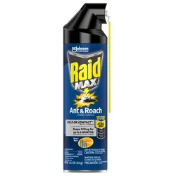 Raid Max Ant and Roach Killer Bug Spray - 14.5oz