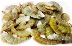 Shrimp Head-On M-Large 36/40