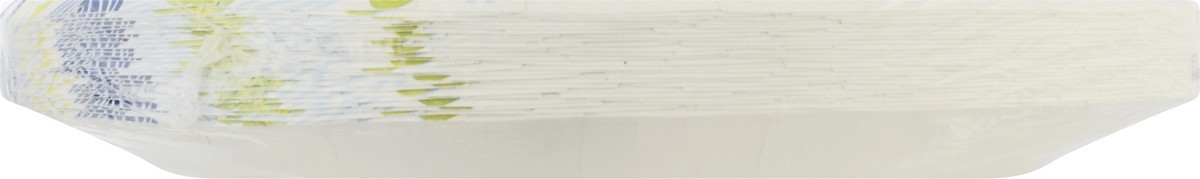 slide 11 of 11, SE Grocers Paper Plates 10 1/16'' Dinner Size Heavy Duty Designer - 24 CT, 24 ct