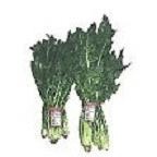 slide 1 of 1, Organic Dandelion Greens, 1 ct