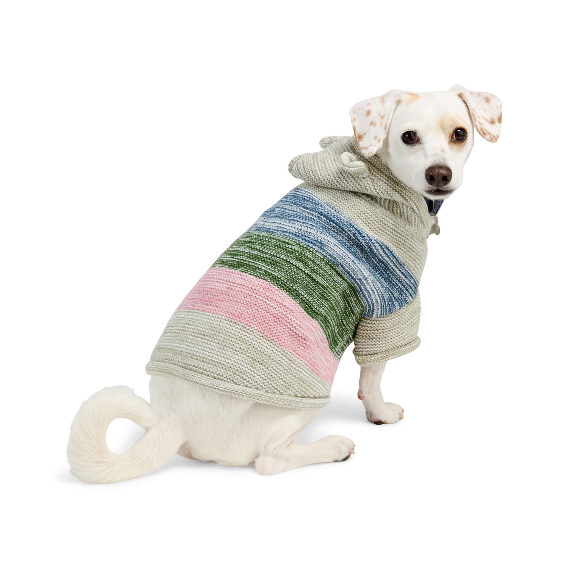 slide 1 of 1, YOULY Bear Ears Striped Pet Hoodie, Large, 1 ct