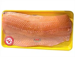 Fish-Fillet Fresh Premium Salmon Fillet