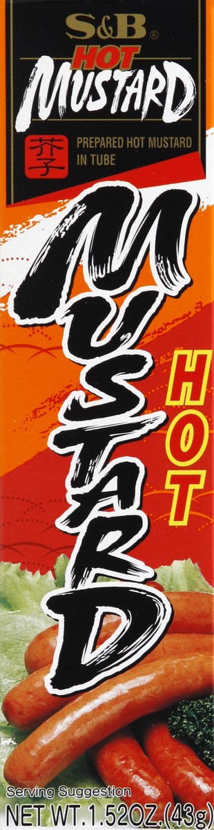 slide 4 of 5, S&B Hot Mustard 1.52 oz, 1.52 oz