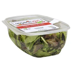 Organic Girl Baby Spring Mix