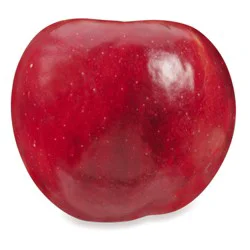 Jonathan Apple