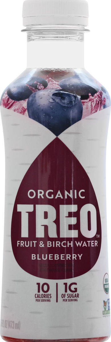 slide 2 of 13, Treo Organic Blueberry Fruit & Birch Water 16 oz, 16 oz