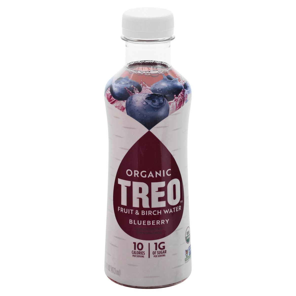 slide 6 of 13, Treo Organic Blueberry Fruit & Birch Water 16 oz, 16 oz