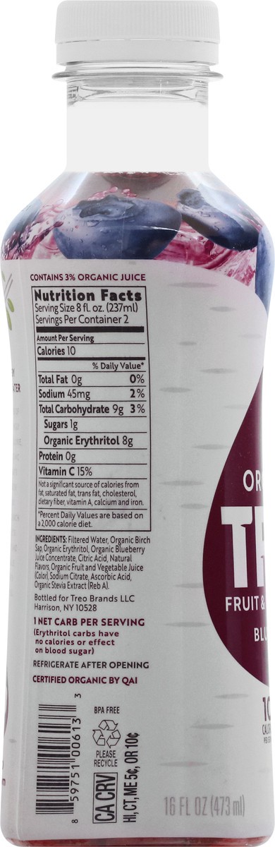 slide 7 of 13, Treo Organic Blueberry Fruit & Birch Water 16 oz, 16 oz