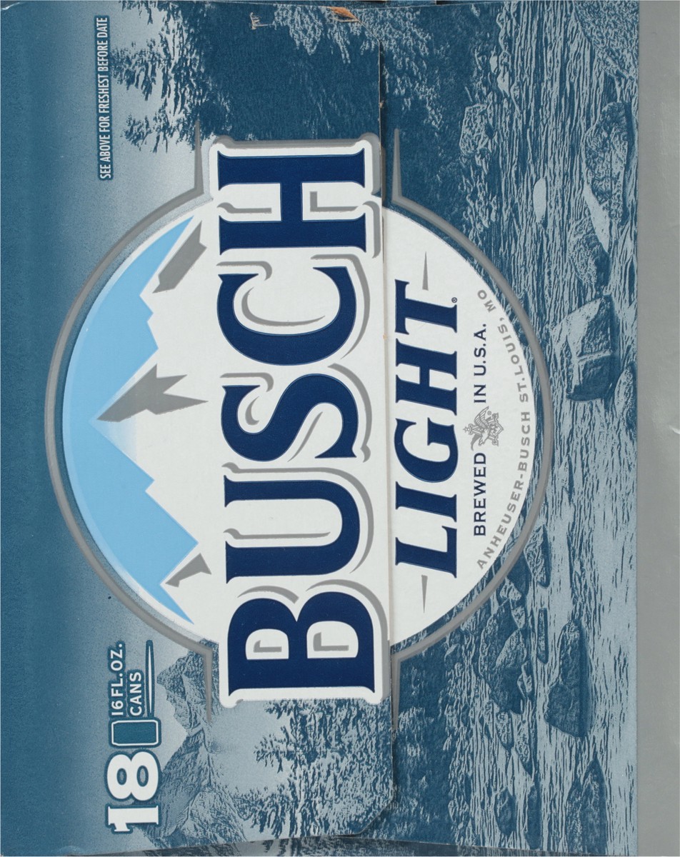 slide 8 of 9, Busch Beer, 16 fl oz