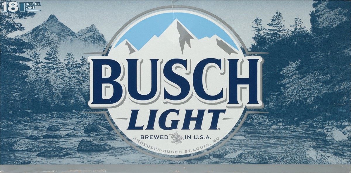 slide 2 of 9, Busch Beer, 16 fl oz