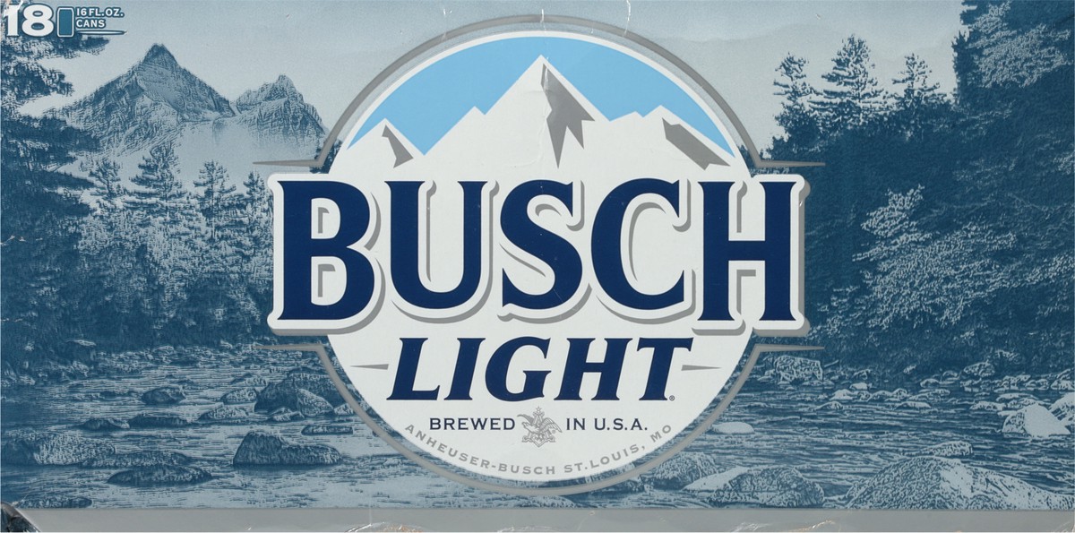 slide 3 of 9, Busch Beer, 16 fl oz