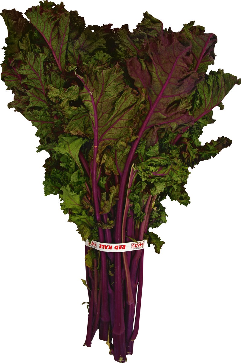 slide 1 of 1, Foxy Organic Red Kale, 1 ct