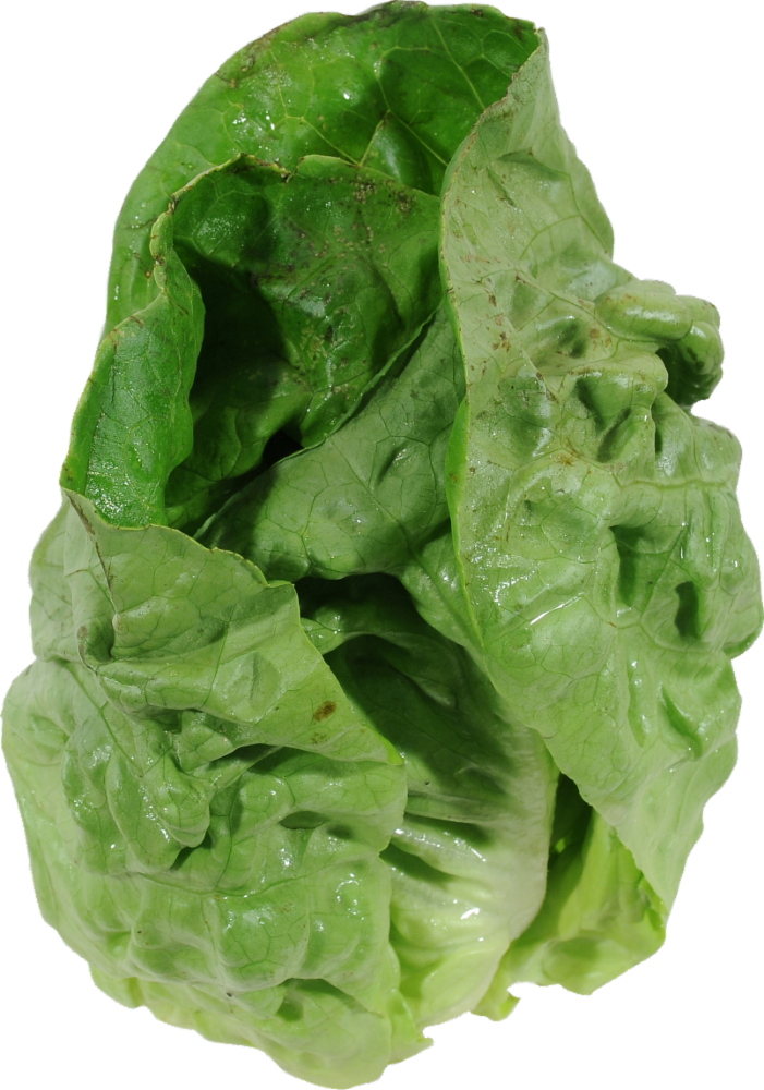 slide 1 of 1, Delete Lettuce Butter Red Og 1Un, 1 ct