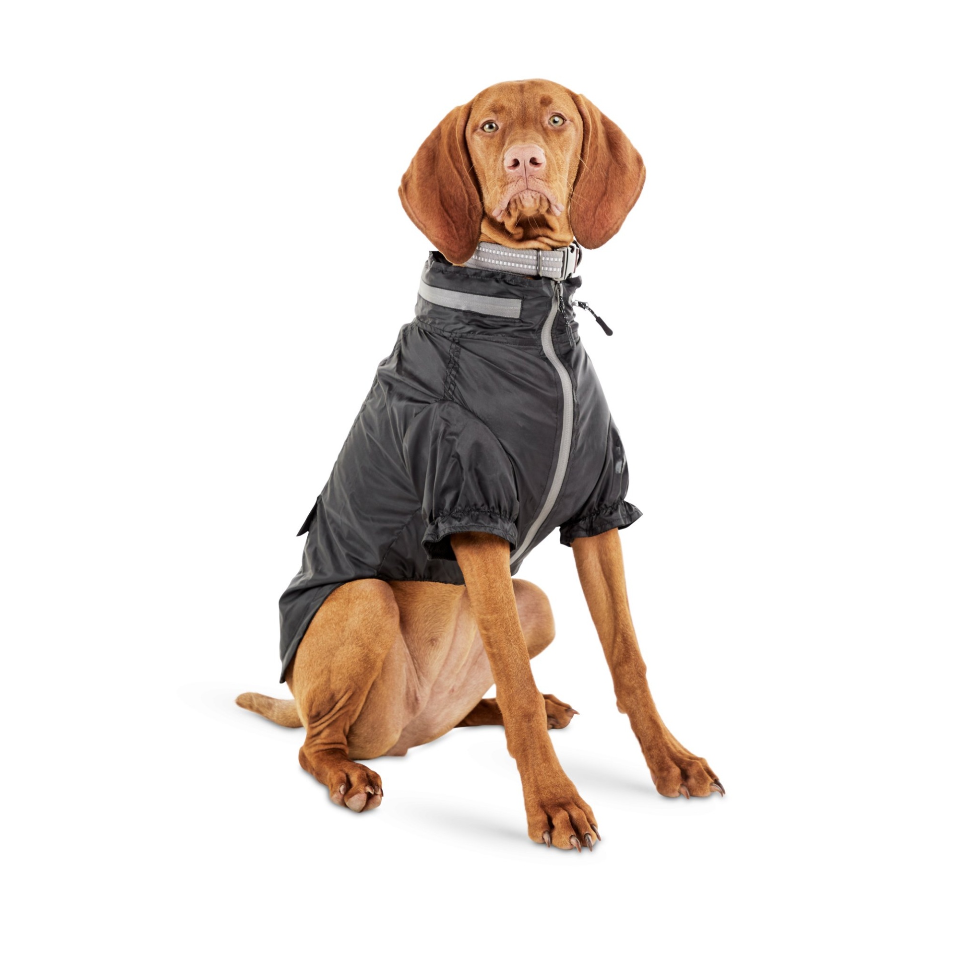 slide 1 of 1, Reddy Black Dog Windbreaker, LG