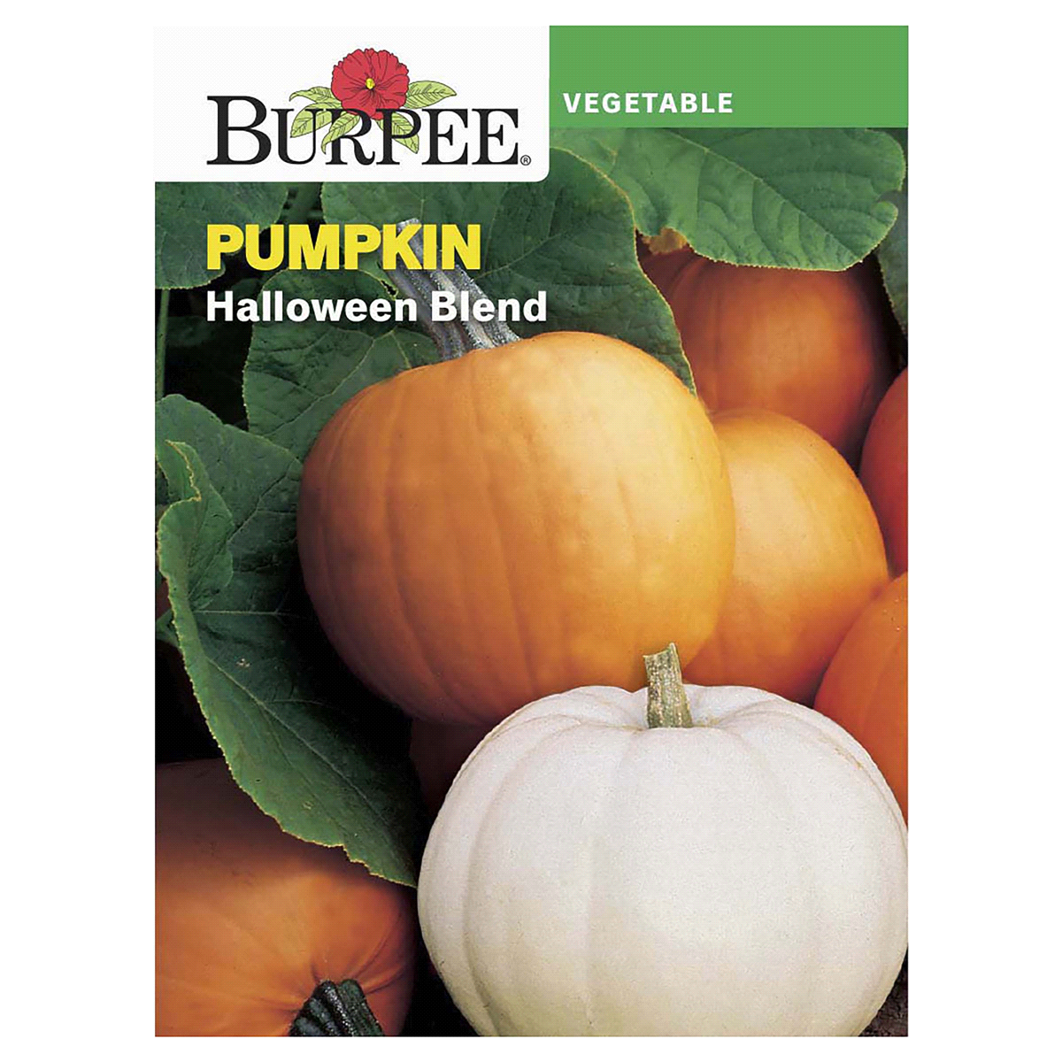 slide 1 of 5, Burpee Pumpkin Halloween Blend Seeds, 1 ct