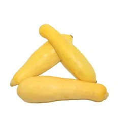 Yellow Organic Squash