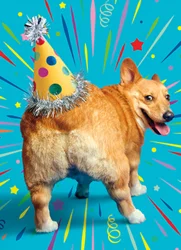 Avanti Birthday Corgi Butt Birthday Hat Card