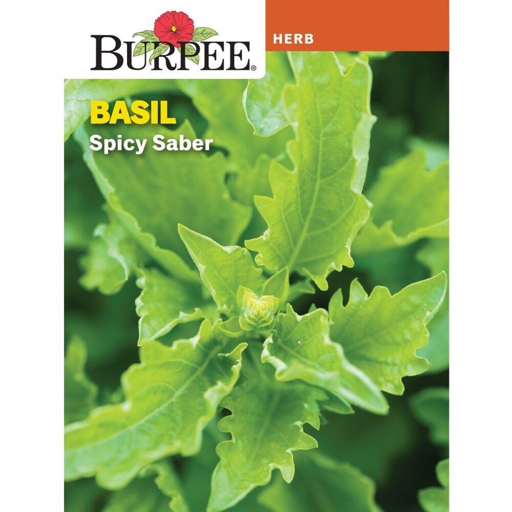 slide 1 of 1, Burpee Spicy Saber Basil Seed Pack, 1 ct