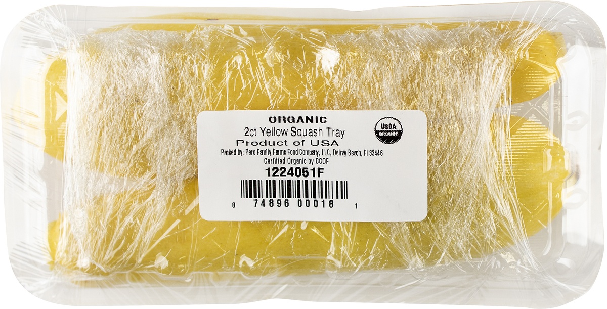 slide 7 of 7, Publix Florida Grown Yellow Squash, 1 ct