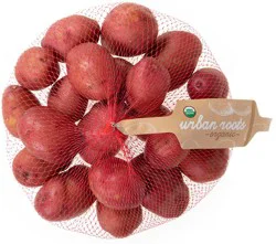 Urban Roots Organic Red "Pee-Wee" Creamers