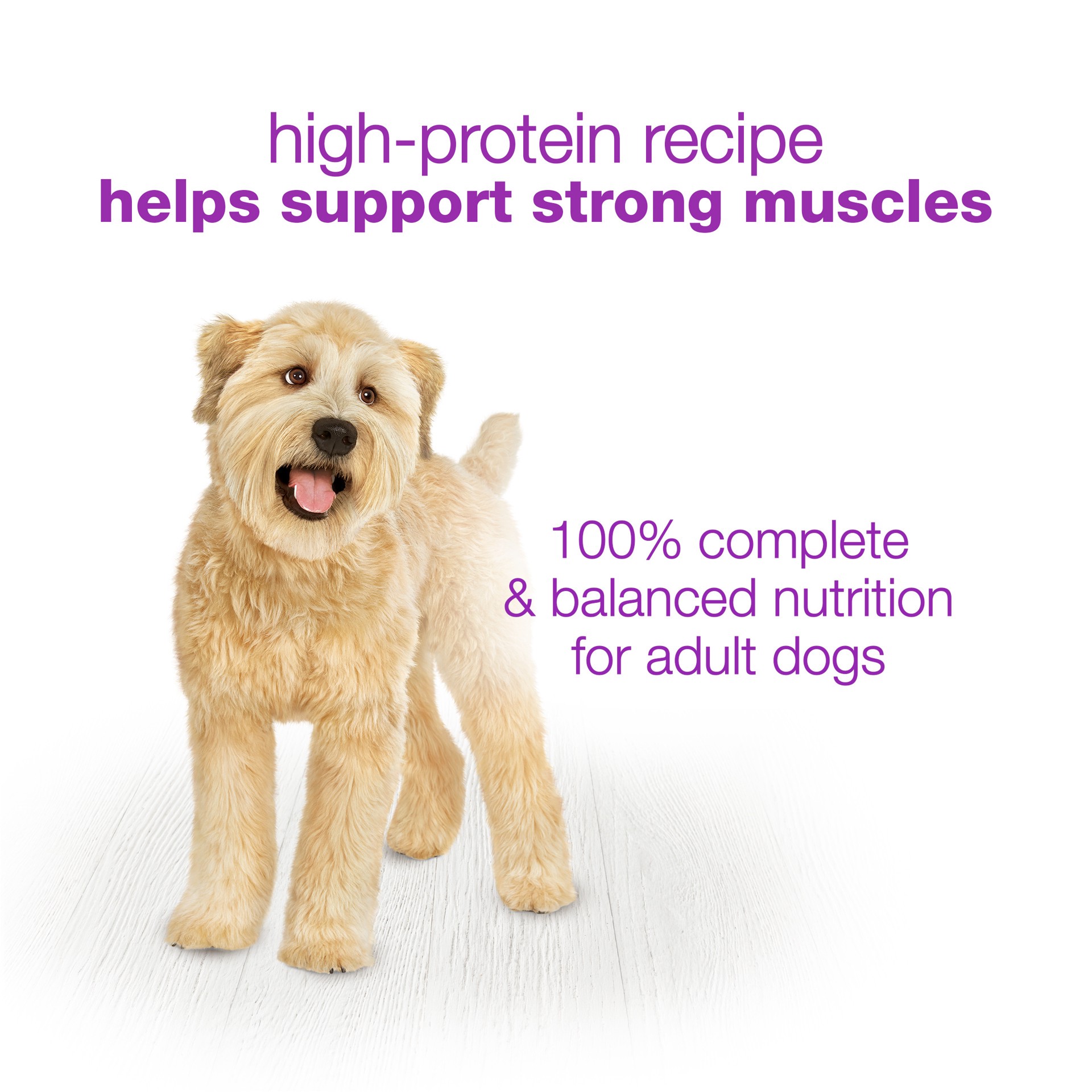 slide 6 of 9, Beneful Purina Beneful Gravy, High Protein Wet Dog Food, Chopped Blends With Turkey, 10 oz