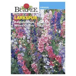 Burpee Larkspur Flower Kaleidoscope Mix Seeds