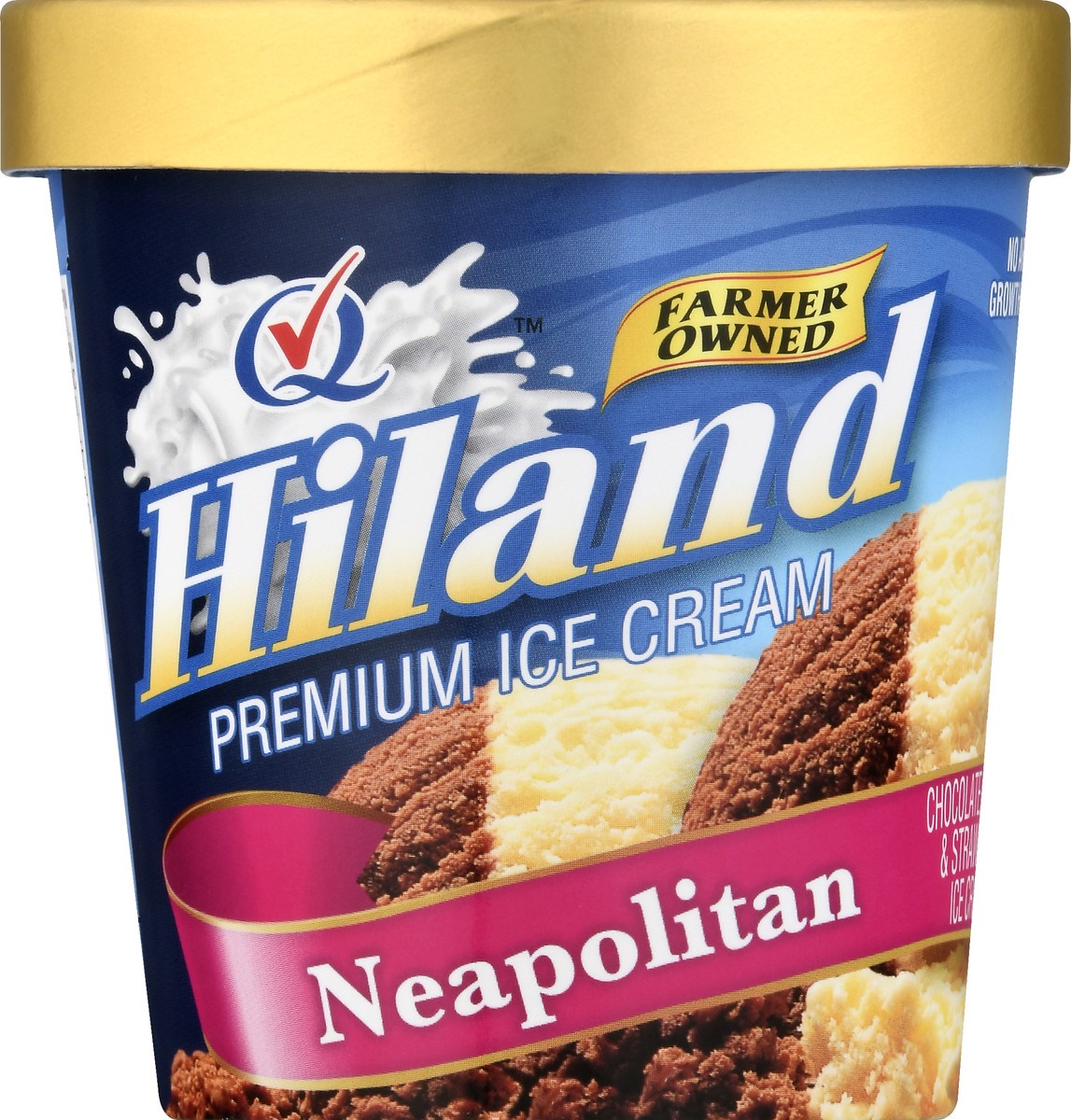 slide 7 of 9, Hiland Dairy Premium Neapolitan Ice Cream 1 pt, 1 pint