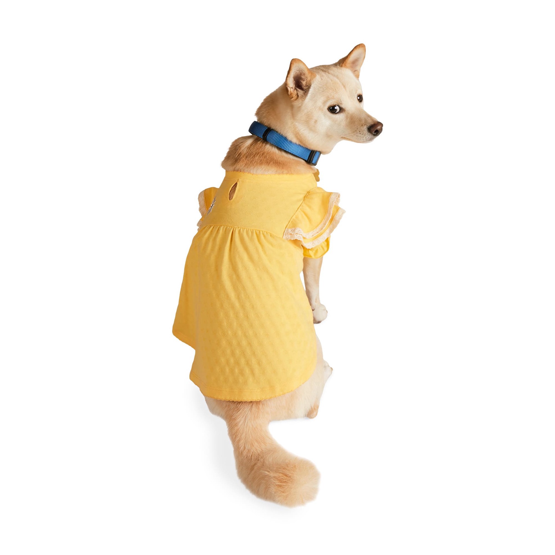 slide 1 of 1, Started As A Bottle Puff Sleeve Dress for Dogs and Cats, Small, Yellow, 1 ct