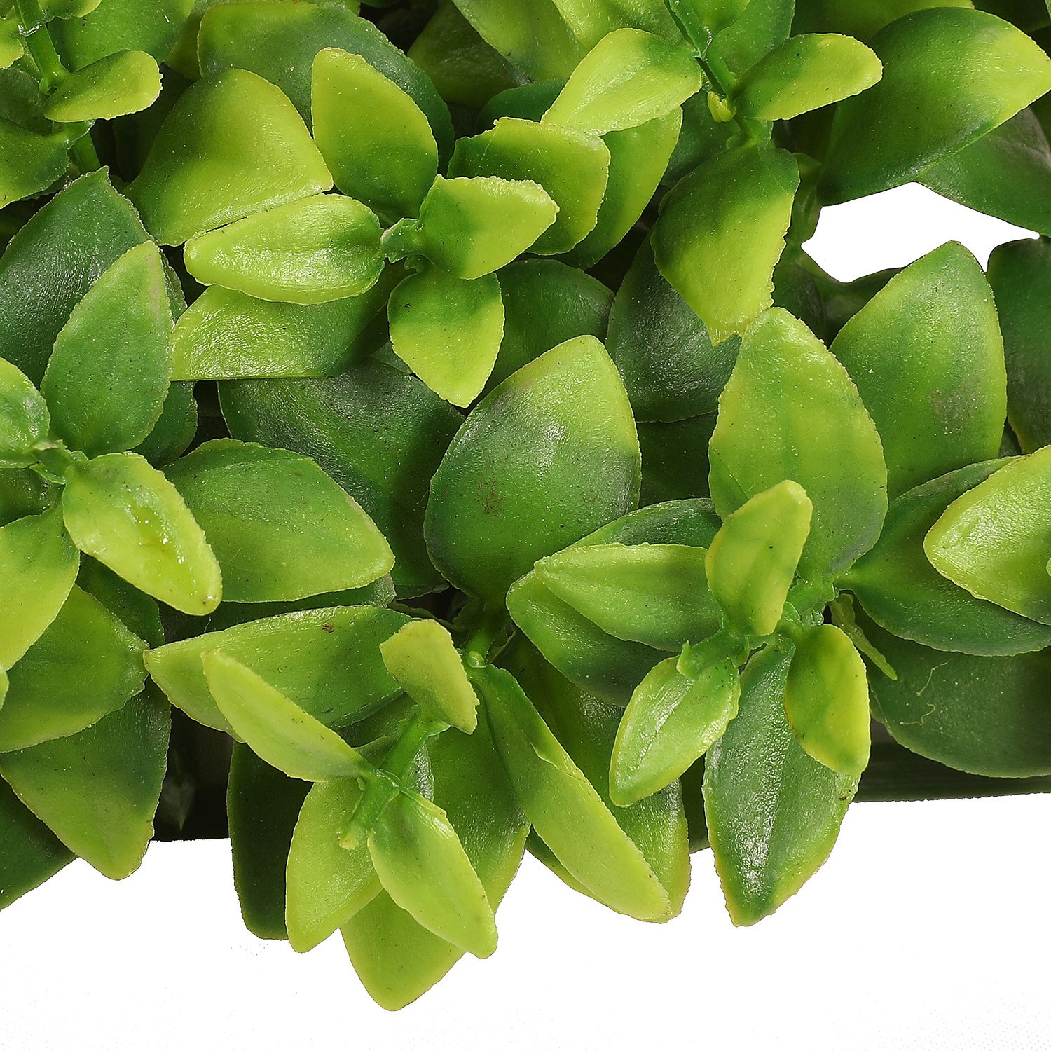 slide 2 of 2, 5" Boxwood Leaf Mat By Ashland, 5 in x 5 in