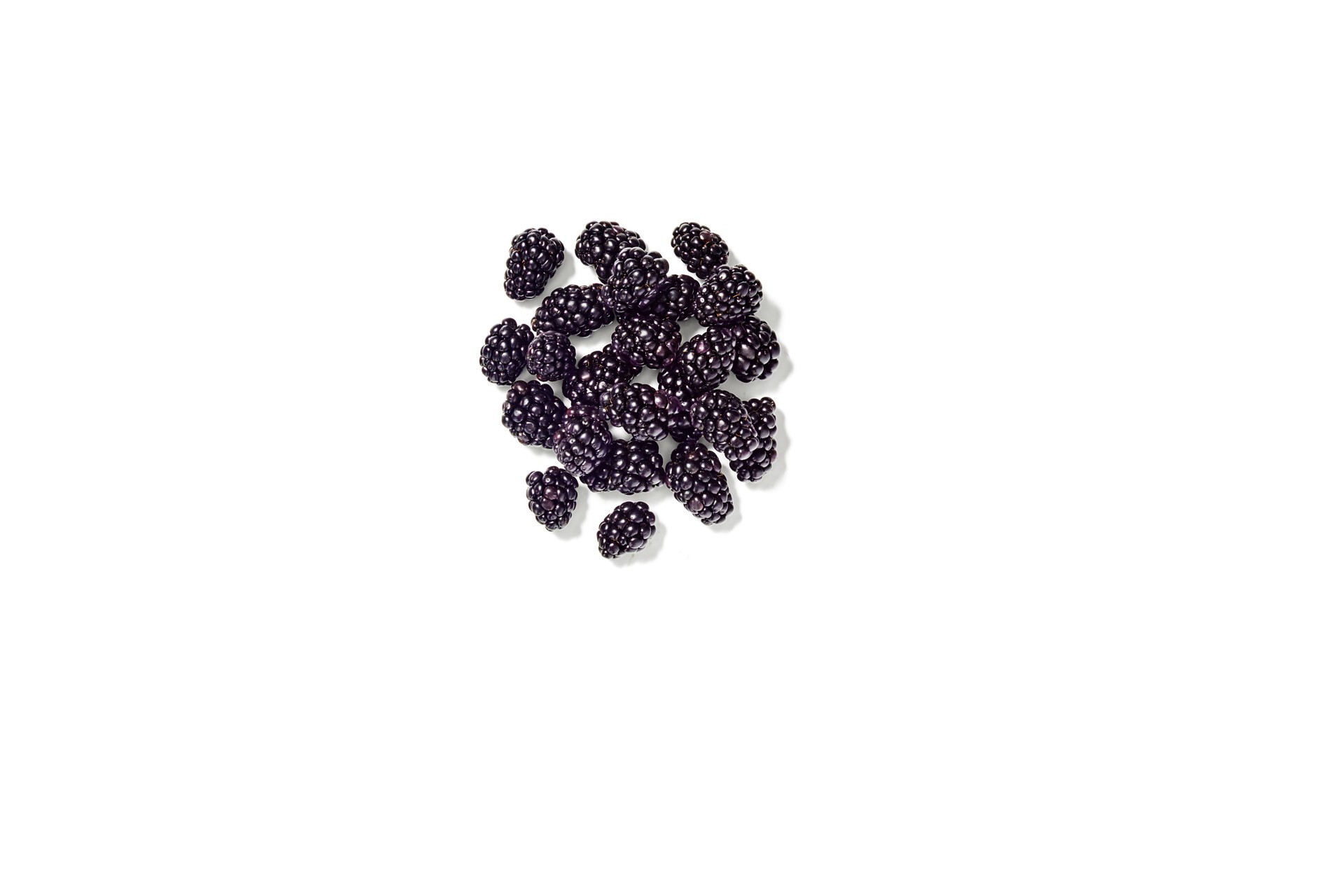 slide 1 of 1, WISH FARMS Blackberries, 6 oz