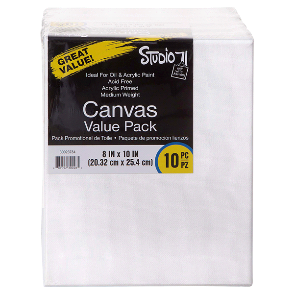 slide 1 of 1, Darice Canvas Value Pack 8x, 10 ct