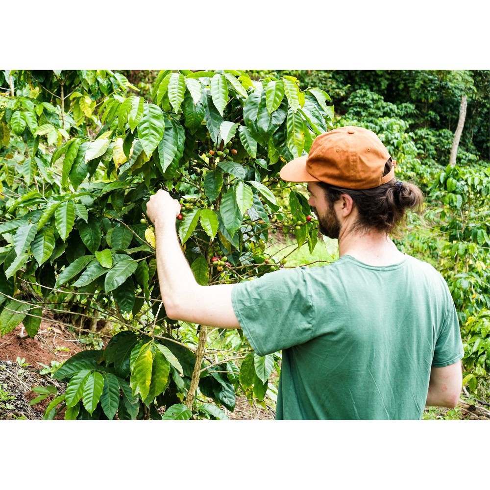 slide 2 of 6, Folly Whole Bean S.O.B Espresso Coffee 12 oz, 12 oz