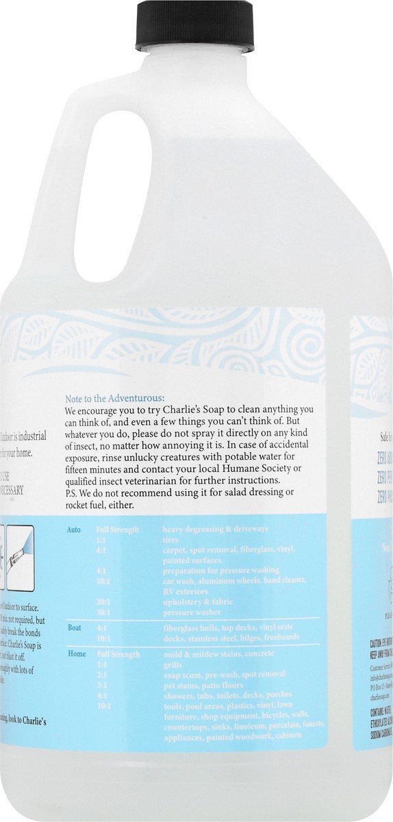 slide 2 of 11, Charlie's Soap Indoor & Outdoor Surface Cleaner 1 gl, 128 fl oz