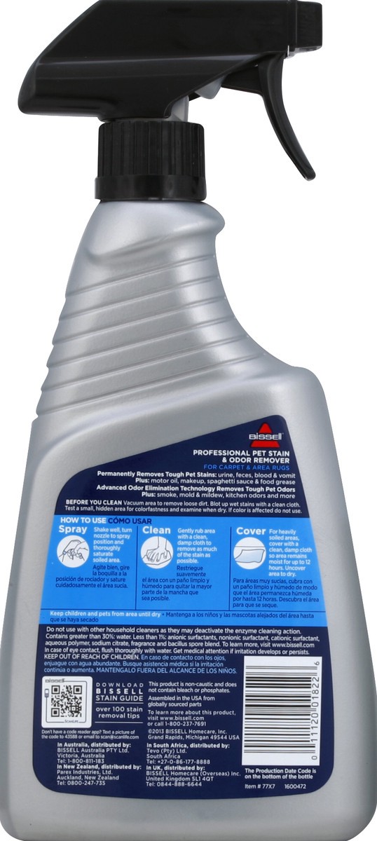 slide 3 of 3, BISSELL Professional Stain & Odor Spray, 22 oz