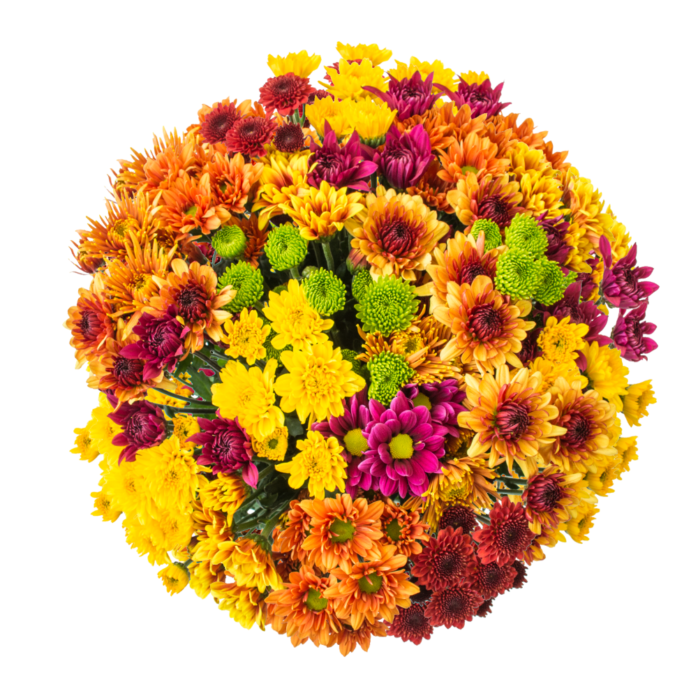 slide 1 of 1, Fall Mega Mum Mixed Bouquet - Orange / Yellow / Green, 1 ct