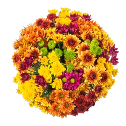 Fall Mega Mum Mixed Bouquet - Orange / Yellow / Green