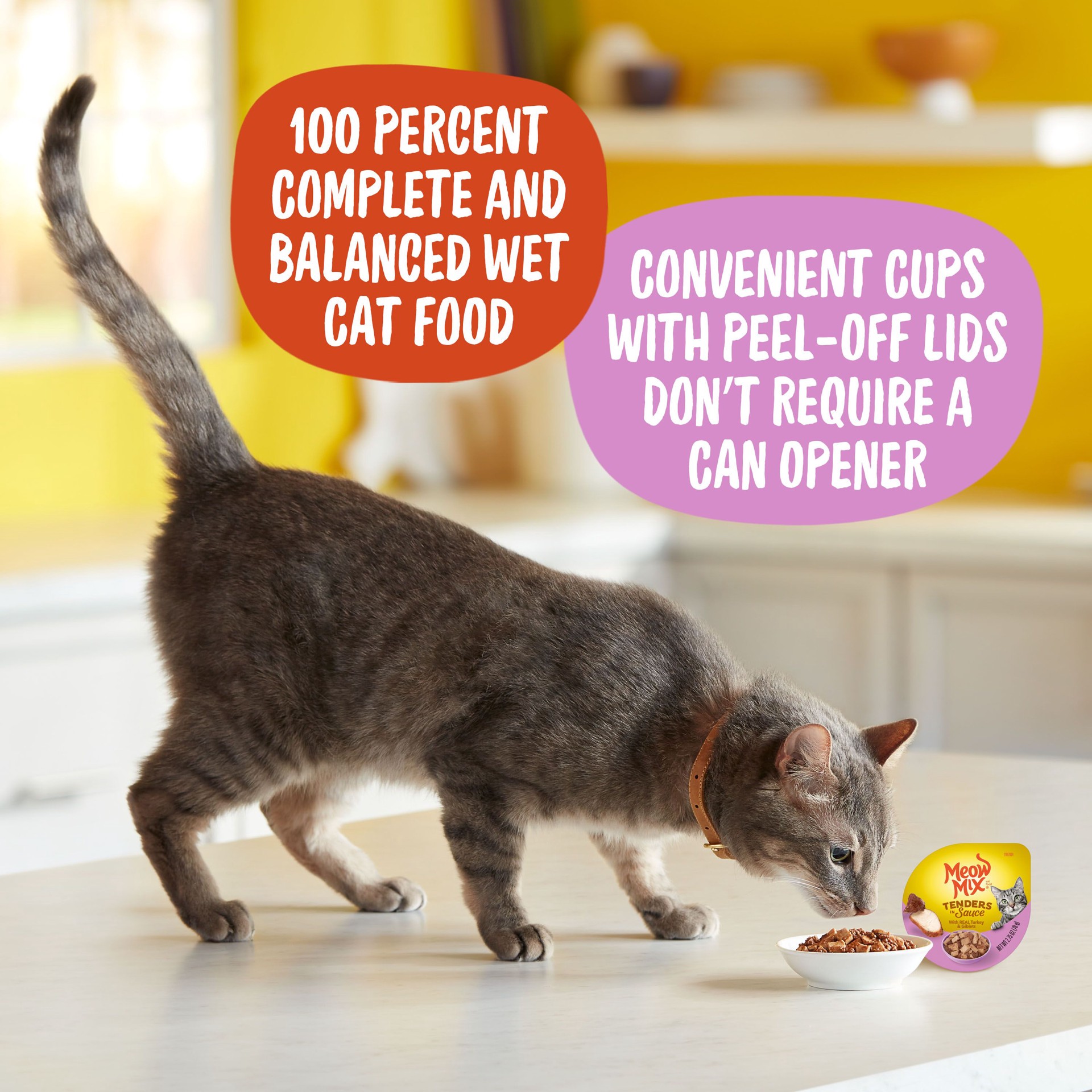 slide 9 of 10, Meow Mix Tender Favorites Cat Food, W/ Real Turkey & Giblets In Sauce, 2.75 oz
