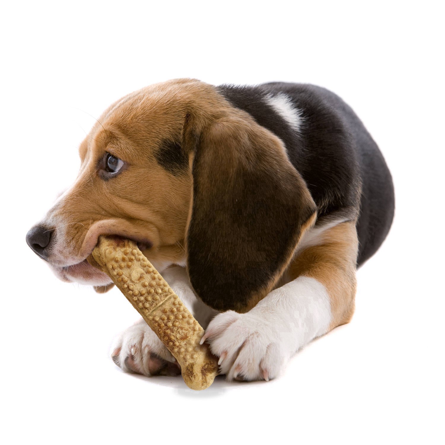 slide 22 of 51, Nylabone Nubz Bacon Twin Pack Jumbo Dog Chews Dental Dog Treats - 6oz, 6 oz