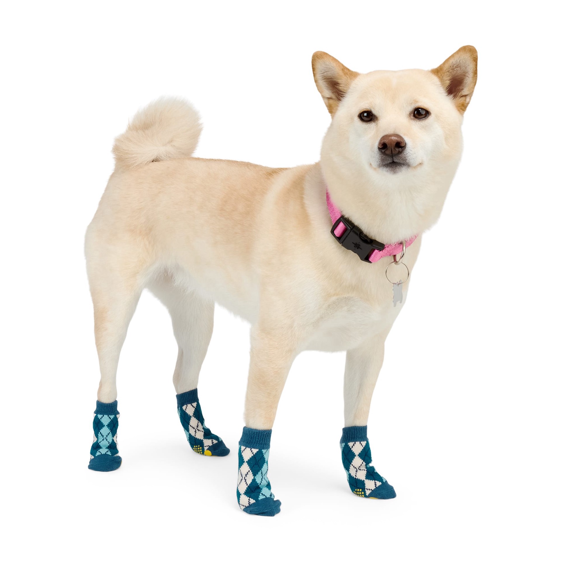 slide 1 of 1, YOULY Blue Argyle Dog Socks, Large/X-Large, 1 ct