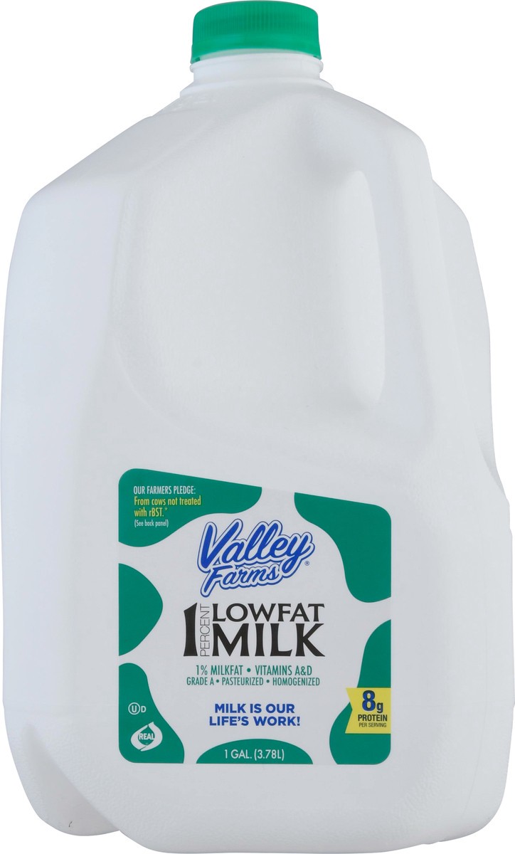 slide 5 of 9, Valley Farms 1% Milkfat Low Fat Milk 1 gl Jug, 1 gal