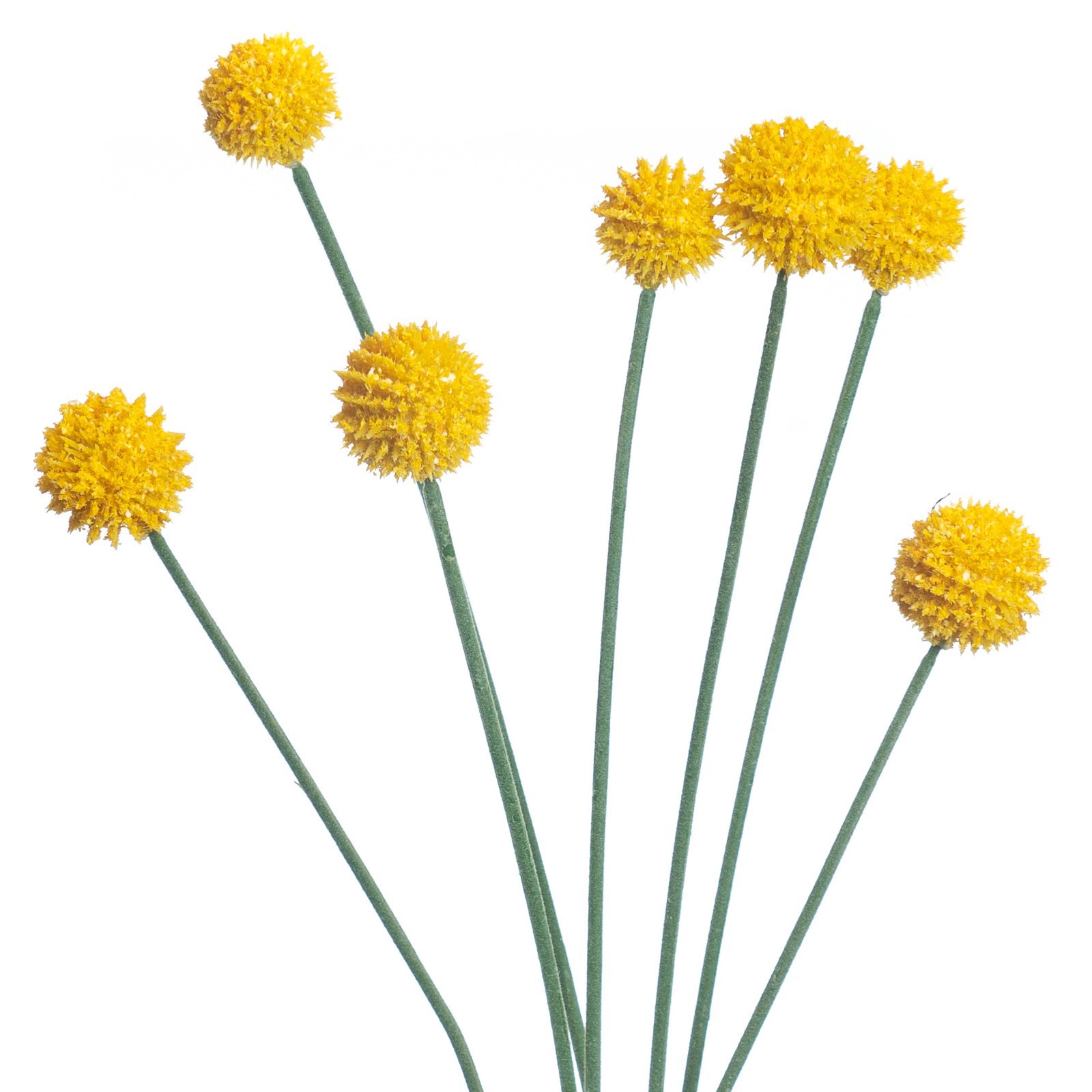 slide 5 of 5, Yellow Billy Ball Stem By Ashland, 26.5 in