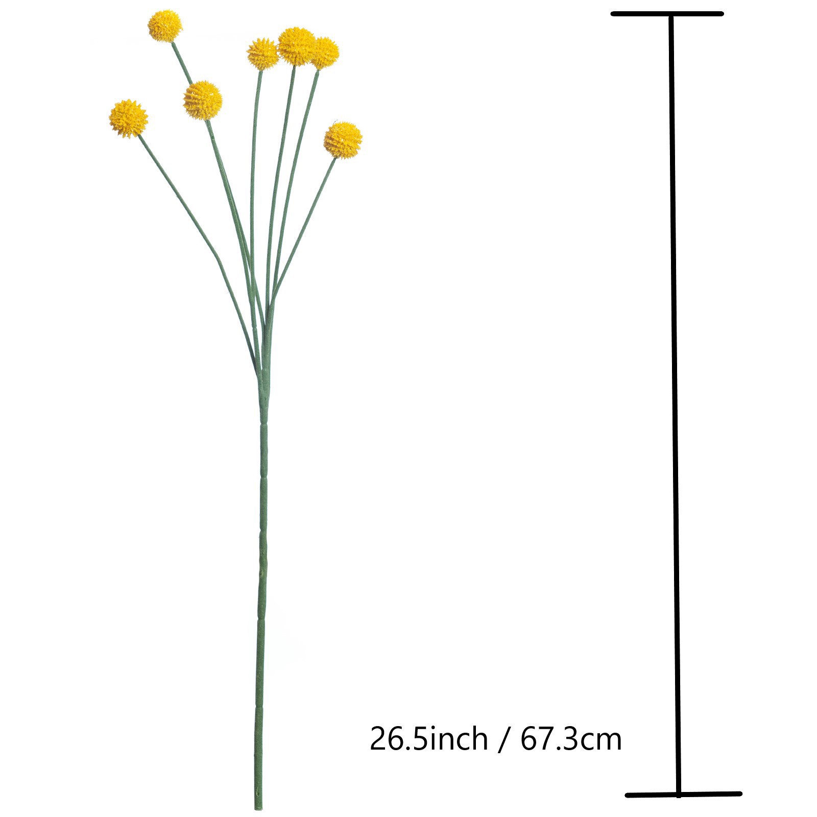 slide 2 of 5, Yellow Billy Ball Stem By Ashland, 26.5 in