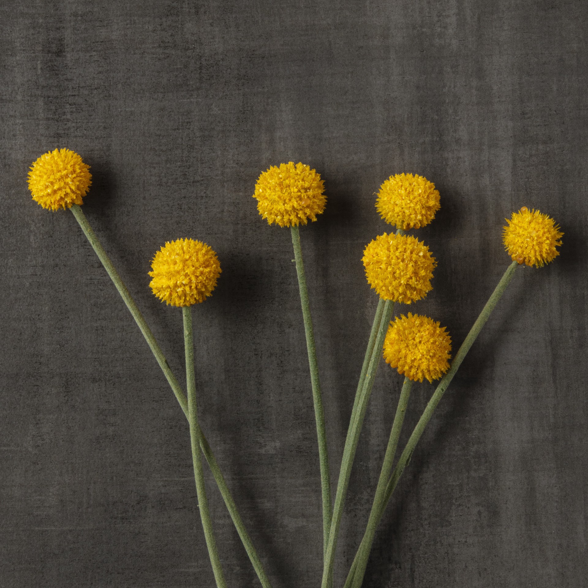 slide 3 of 5, Yellow Billy Ball Stem By Ashland, 26.5 in