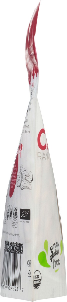 slide 2 of 12, Elan Raw Cashews, 6.5 oz