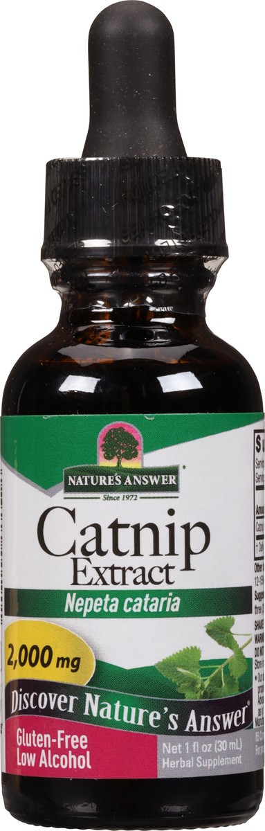 slide 8 of 12, Nature's Answer 2000 mg Catnip Extract 1 fl oz, 1 fl oz