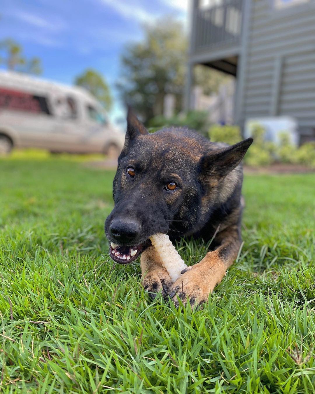 slide 7 of 10, Nylabone Power Chew Dog Toy Original X-Large/Souper - 50+ lbs.(1 Count), 1 ct